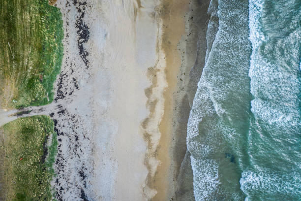 istock Aerial view of sandy beach and ocean with waves 1197901598