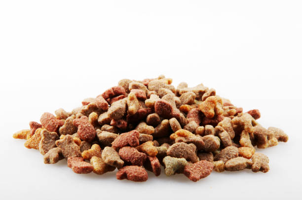 istock Dried Pet Food Isolated On White Background 1197903115
