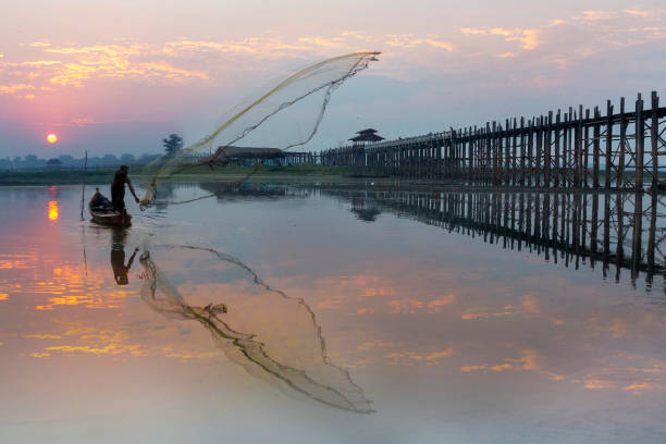 Fisherman at the sunrise, Mandalay, Myanmar Mandalay, Myanmar - February 16, 2019: Fisherman sets his net at the sunrise near the U Bein bridge, in Mandalay, Myanmar u bein bridge stock pictures, royalty-free photos & images