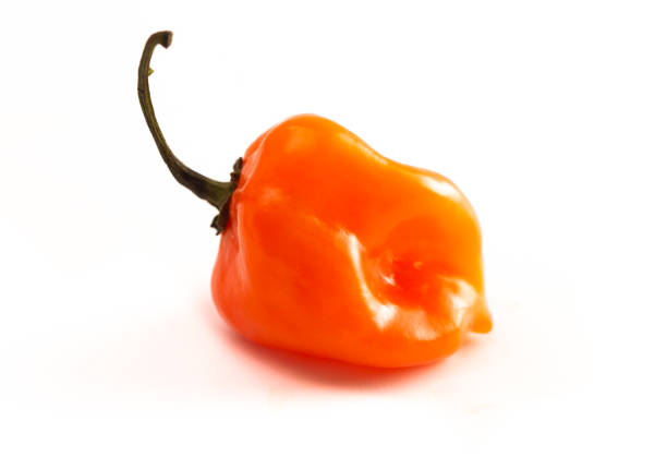istock Extremely Spicy Orange Habanero Pepper Isolated on a White Background 1197904306