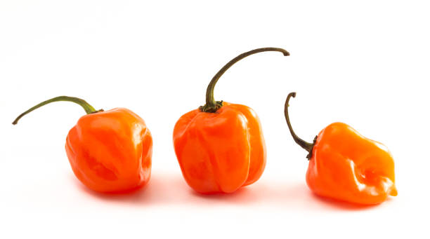 istock Extremely Spicy Orange Habanero Pepper Isolated on a White Background 1197904330
