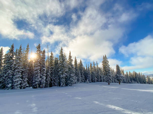 istock Ski resort Colorado USA 1197907156