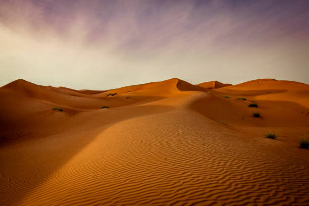 istock wahiba sands desert sunset, oman 1197908758