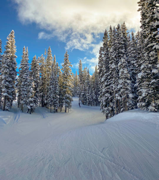 istock Ski resort Colorado USA 1197909671