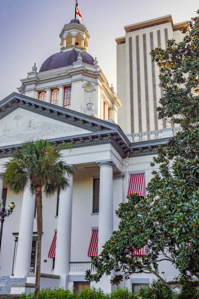 Under a clear blue early spring sky, rising above the oak trees, we see the Florida State Capital Buildings with the Historic Capital in the foreground and the high-rise Legislative offices behind it. stock photo