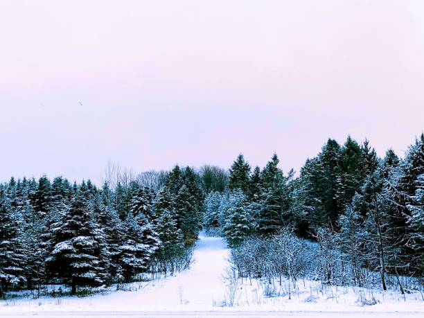 istock Winter wonderland in Michigan 1197917711
