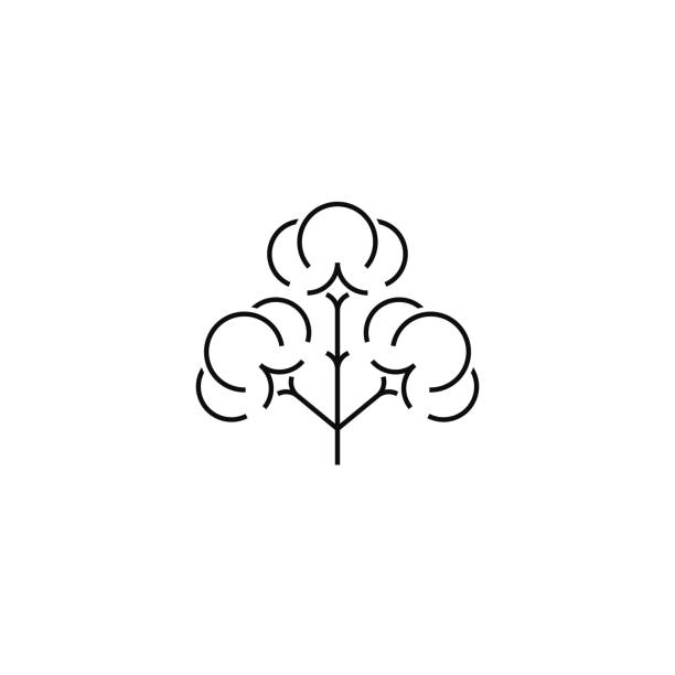 хлопок. лого. изолированный цветок на белом фоне - cotton flower white background white stock illustrations