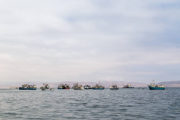 łodzie rybackie w: paracas - ice fishing zdjęcia i obrazy z banku zdjęć