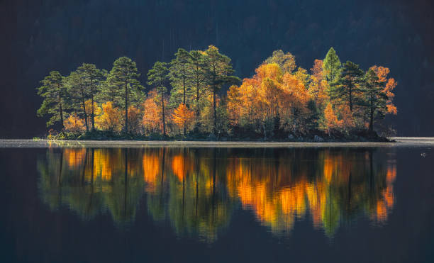 paesaggio autunnale di faboulus del lago eibsee - zugspitze mountain lake autumn germany foto e immagini stock