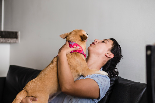 Young female woman having a fun day with her dog pet in the living room