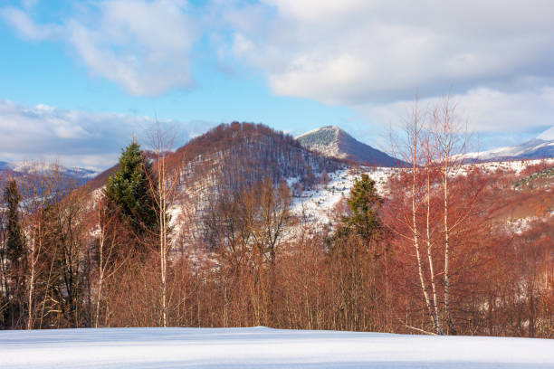 istock beautiful winter landscape in mountains 1197928189