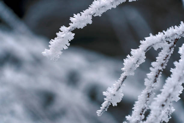 istock icicles frozen ice on grass lake 1197928426