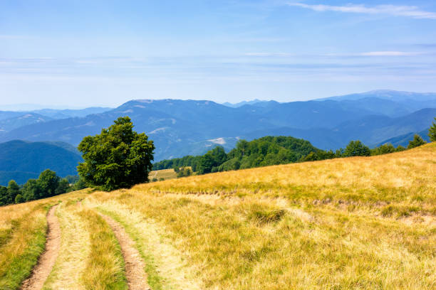 istock mountainous countryside in summertime 1197928448