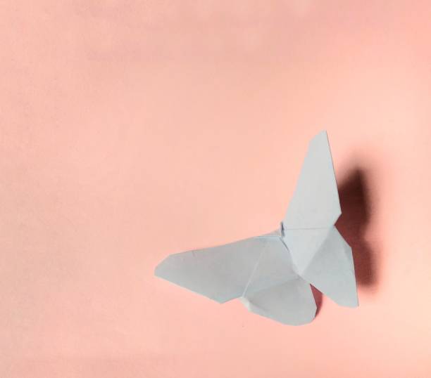istock White paper butterfly on pink background. decorative concept 1197932357