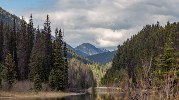 istock Snowy mountains with a lake at the bottom and cloudy sky 1197933548