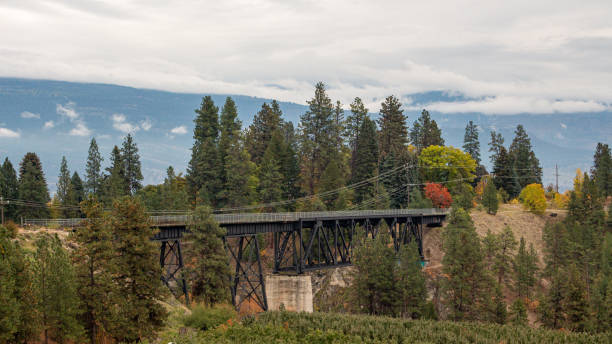istock Old steel railroad bridge over the canyon 1197933606