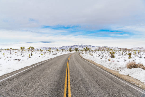 A road curves toward distant mountains through a snowy desert landscape in Joshua Tree National Park, California