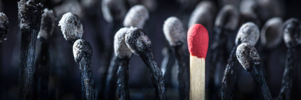 Burnt Matchsticks With One Survivor