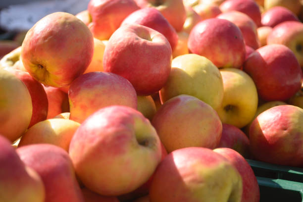 istock fresh apples at the market 1197949317