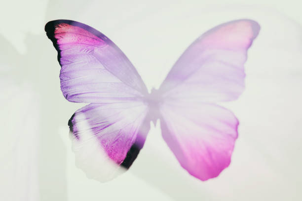 istock beautiful colored butterfly. abstract blur. tropical insect 1197951429