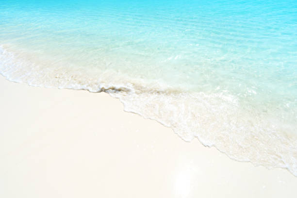 istock Soft wave of blue ocean on sandy beach 1197960461