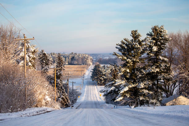 deep snow covered corn field in central wisconsin that has not been harvested yet on january 1, 2020 due to the wet autumn and early snow of 2019 - corn snow field winter imagens e fotografias de stock