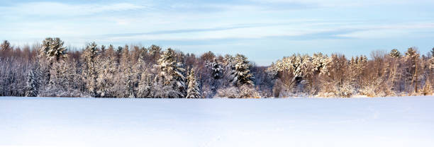 istock Panoramic view of a snow covered Wisconsin field and forest 1197961213