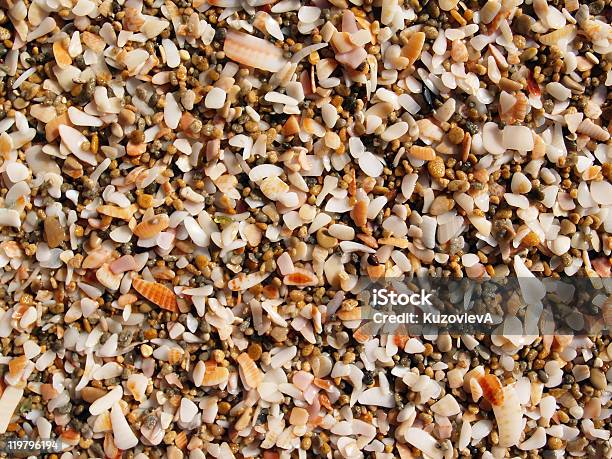 Sand Off Shells Sand From Shells Stock Photo - Download Image Now - Animal Shell, At ...