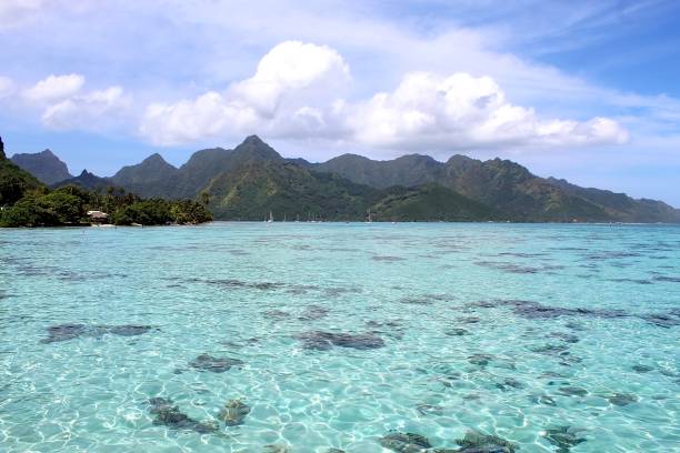istock View Over Lagoon at Hilton Moorea Lagoon Resort 1197963345