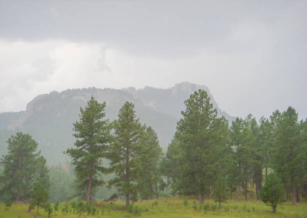 istock Black Hills Central Railroad - Scenic Railroad 1197964326