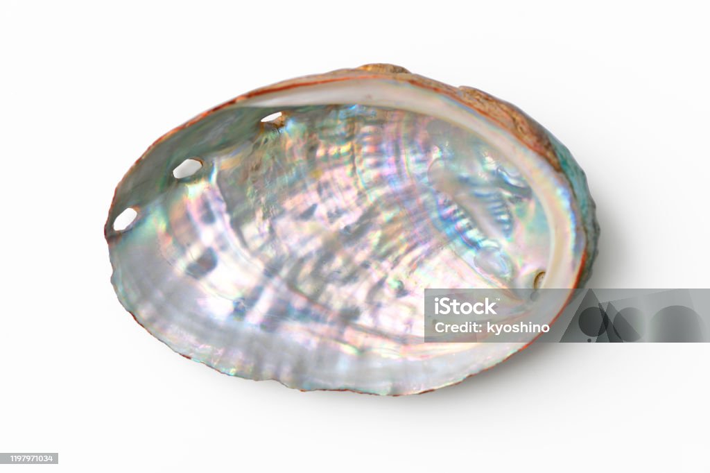 Isolated shot of Abalone shell on white background Overhead shot of Abalone shell isolated on white with clipping path. Mother of Pearl Stock Photo