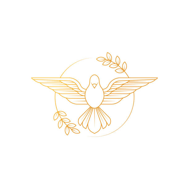Dove Of Peace. Illustration of flying Dove holding an olive branch symbolizing peace on earth. Dove Of Peace. Illustration of flying Dove holding an olive branch symbolizing peace on earth. Line Art dove. Dove Logo Design. Line art for logo and design. Vector illustration. Peace logo. nature clipart stock illustrations