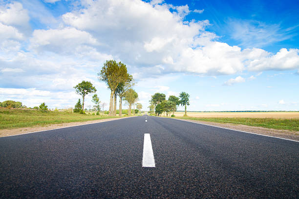 Empty country road through cultivated rapeseed canola fields in spring, selective focus