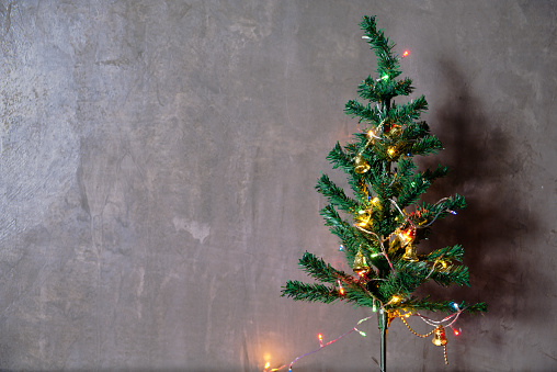 A beautiful Christmas tree adorned with glittering lights placed in front of  the concrete wall.