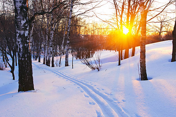 冬季の夕暮れ - rural scene russia ski track footpath ストックフォトと画像