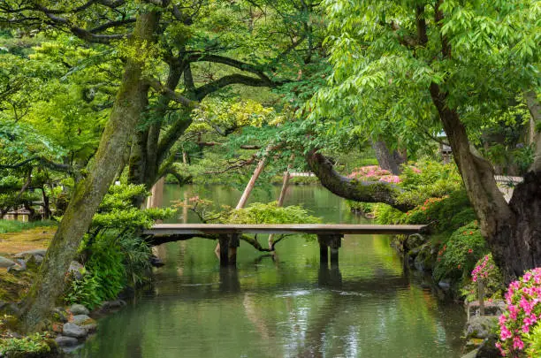 Japanese garden in Kanazawa, Japan