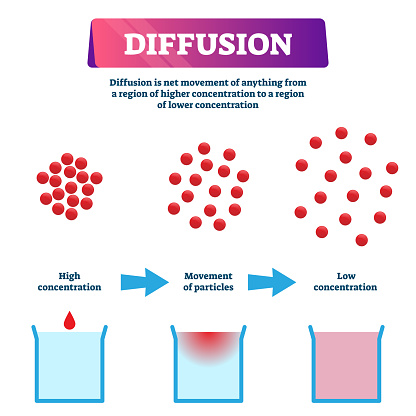 Diffluens Diffusion Vector Illustration Labeled Educational Particles Mixing ...