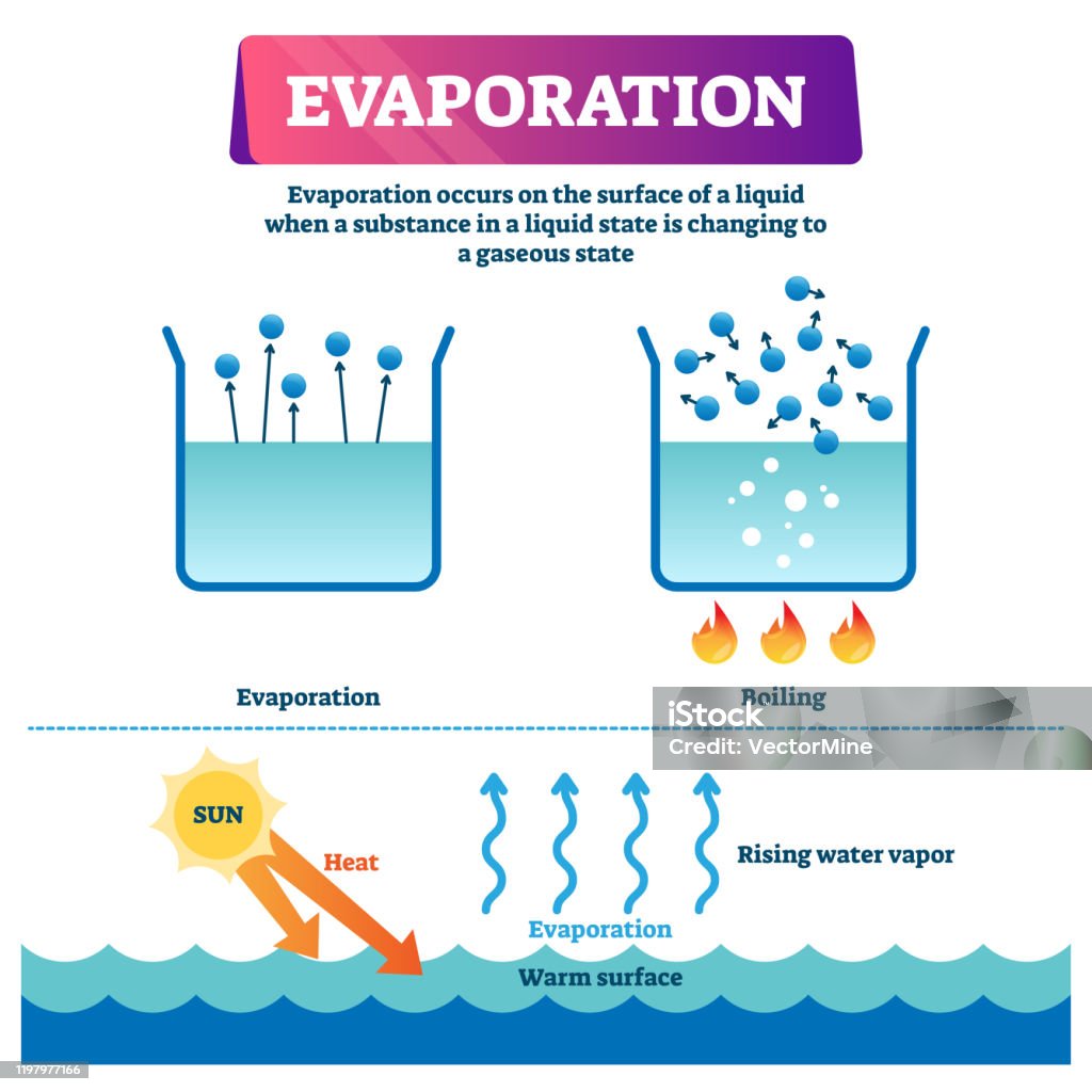 Ilustración de Ilustración Vectorial De Evaporación Esquema De Proceso  Estatal De Líquido A Gas Etiquetado y más Vectores Libres de Derechos de  Evaporación - iStock
