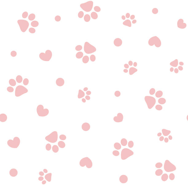 ilustraciones, imágenes clip art, dibujos animados e iconos de stock de patrón sin costuras con huellas de patas de mascota rosa y corazones. - dog paw print paw pets