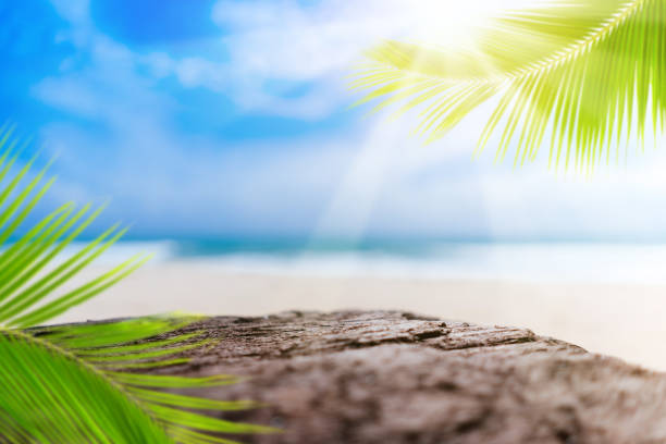 istock Blur tropical beach with bokeh sun light wave and palm tree on copy space empty old wood table abstract background. 1197979873