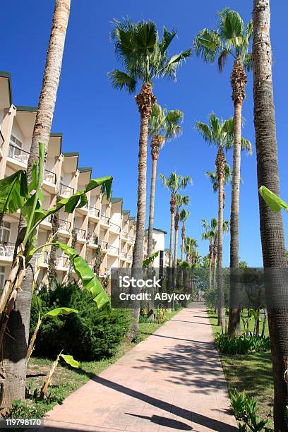 Foto de Rua No Clima Tropical Da Cidade e mais fotos de stock de Azul - Azul, Casa, Cidade