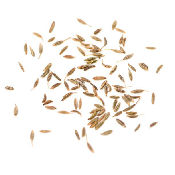 cumin seeds - ingredient fennel food dry imagens e fotografias de stock