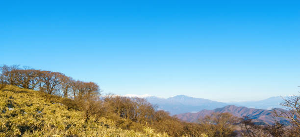View from Mt. Ryugatake on New Years Day 2020