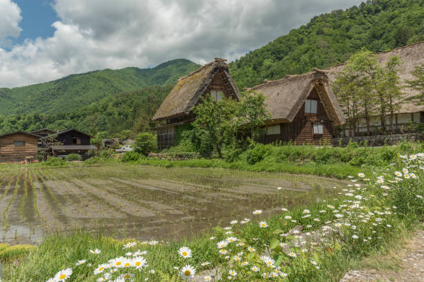 Cottage in historic Village of Shirakawa-go in Japan in Springtime