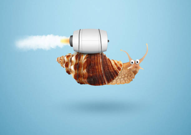 Acceleration speed and success concept, snail with jet