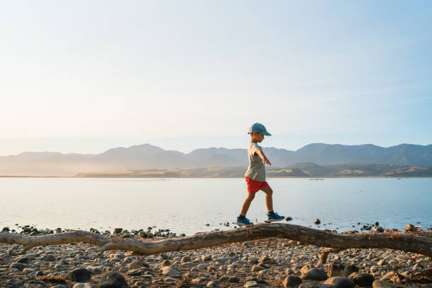 istock Walking on log outdoor. 1197988833