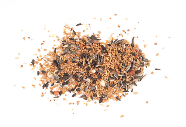 istock Birdfood - Mixed seeds, grain, nuts and corn, isolated 1197994323