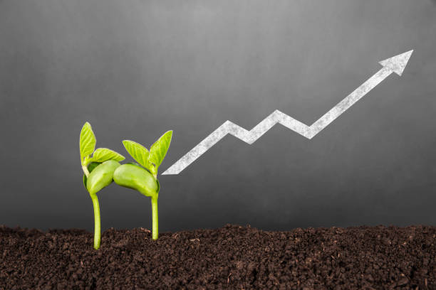 istock bussiness investment:plant growing in soil before blackboard 1197996999