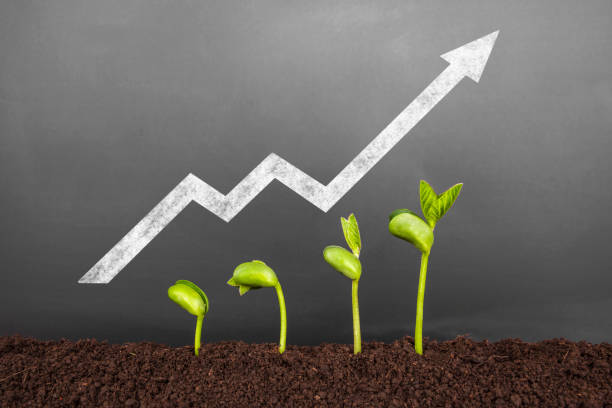 istock Bussiness growth:new life growing before blackboard 1197997026