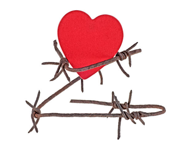 istock Rusty barbed wire wound around a wooden red heart isolated on white background, closeup. 1197997152
